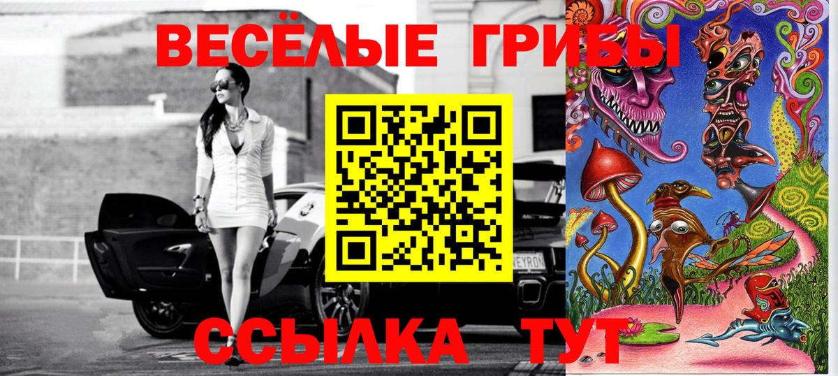 Галлюциногенные грибы Psilocybine cubensis Новочеркасск