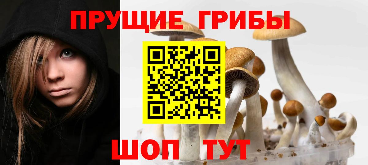 Псилоцибиновые грибы MAGIC MUSHROOMS  Вход с VPN  Галлюциногенные грибы ЛСД  Новочеркасск 