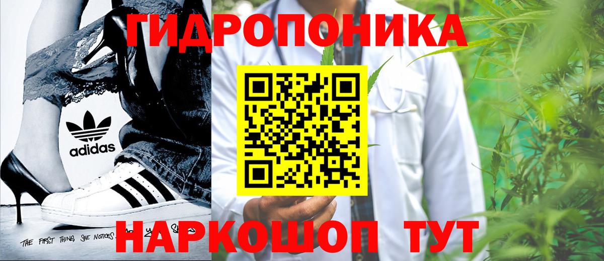 Бошки марихуана план  Вход с VPN  Новочеркасск  Бошки Шишки гибрид 